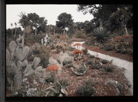 Image représentant Le jardin