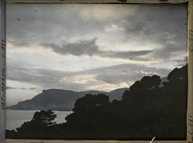 Image représentant Ligne d'arbres vue à contre-jour, en direction de Monaco, non loin de la villa Kahn dite villa Zamir