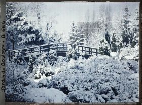 Image représentant Rocaille et pont du " sanctuaire japonais " sous la neige, vus en direction du quai