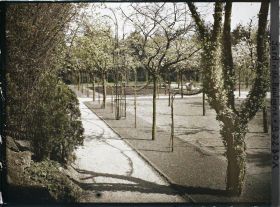 Image représentant Partie ouest du verger-roseraie en cours de travaux, vue en direction de la forêt bleue