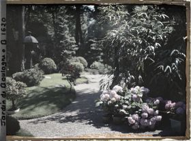 Image représentant Bonsaïs dans le jardin du " village japonais " et hortensias en pots près de la maison est