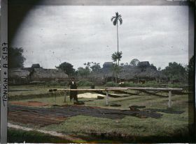 Image représentant Une teinturerie en plein air dans un village
