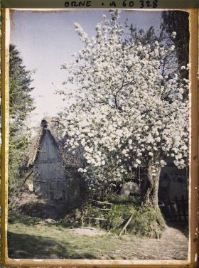 Image représentant Une ferme