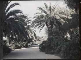 Image représentant Cap Martin Le Jardin