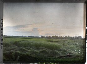 Image représentant Un coucher de soleil sur les rizières