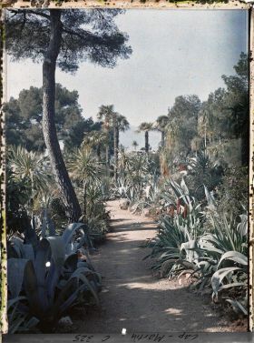 Image représentant Cap-Martin - Le Jardin