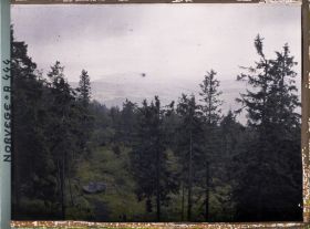 Image représentant forêt et panorama vu depuis les hauteurs du Volksenkollen