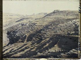 Image représentant Cultures en terrasse