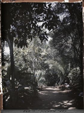 Image représentant Cap Martin Le Jardin