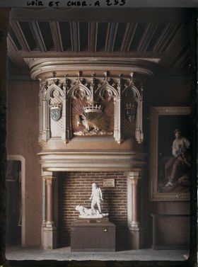 Image représentant La cheminée du salon d'honneur de l'aile Louis XII du château