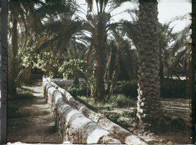 Image représentant Rigoles d'irrigation dans l'oasis