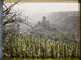 Image représentant Allemagne, Cobern (Moselle), Le Niederburg et vignes