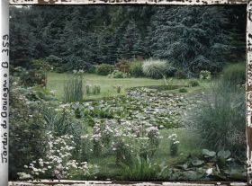 Image représentant Nénuphars fleuris dans les bassins du marais, vus du nord-est en direction de la forêt bleue