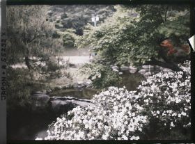 Image représentant Le parc Maruyama (Maruyama kôen)