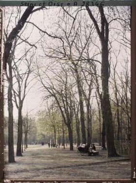 Image représentant France, Versailles, Allée des Nourrices
