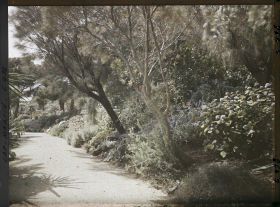 Image représentant Cap Martin Le Jardin