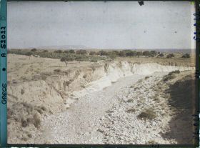 Image représentant Vallée de Gouves vers la mer. Oliviers et vignes