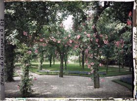 Image représentant Partie sud-ouest du verger-roseraie vue depuis le rond-point proche de la dépendance
