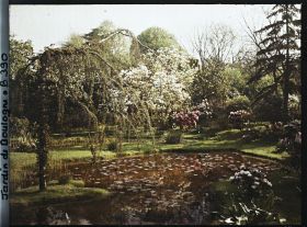 Image représentant Cèdre pleureur surplombant le bassin sud du marais, vu en direction du nord-est