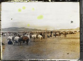 Image représentant Chevaux et soldats de l'armée mongole sur la grande place du marché