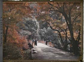 Image représentant érables et pont sur la rivière Kiyotaki-gawa