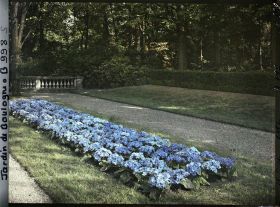Image représentant Fragment de parterre au sud-est du jardin français