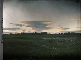 Image représentant Un coucher de soleil sur les rizières