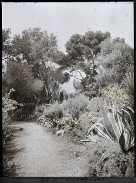 Image représentant Le Jardin