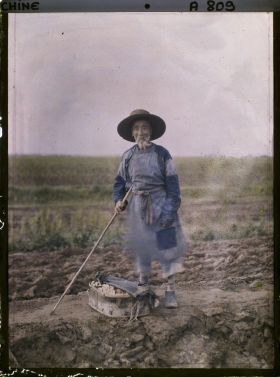 Image représentant Dans les champs