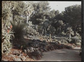 Image représentant Une alllée du jardin