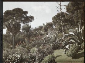 Image représentant Vue du jardin