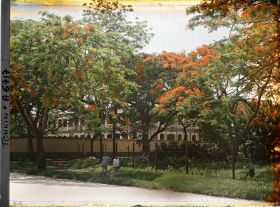 Image représentant Deux enfants sous les flamboyants bordant l'avenue Général Bichot