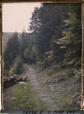 Image représentant France, La Schlitte sortant de la forêt