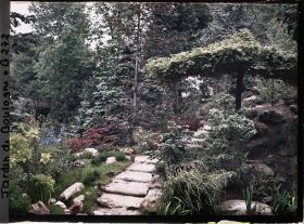 Image représentant Arbre parasol du " sanctuaire japonais " proche de la façade de temple et de la porte d'accès au " village japonais "