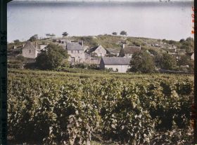 Image représentant Vignoble des coteaux de Vouvray