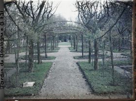 Image représentant Axe central du verger-roseraie vu vers le jardin anglais, non loin du rond-point côté jardin français