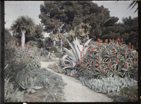 Image représentant Cap Martin Le Jardin