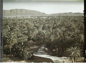 Image représentant La palmeraie et le village de Zenaga