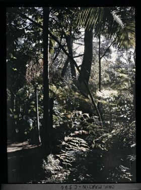 Image représentant Le jardin Les tropiques