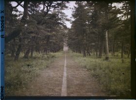Image représentant Fuling (" tombeau de la Félicité "), appelé aussi Dongling (" tombeau de l'Est ")