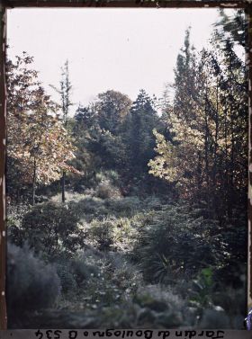 Image représentant Érables encadrant un espace dégagé du " sanctuaire japonais "