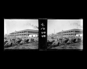 Image représentant Une caravane de chameaux de Bactriane sur Wangfujing dajie ("avenue du Puits des Résidences Princières") avec à l'arrière-plan le bâtiment de la ligne ferroviaire Pékin-Hankéou