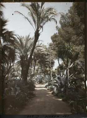 Image représentant Cap Martin Le Jardin