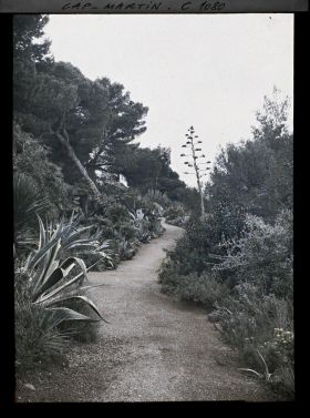 Image représentant le jardin