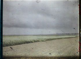 Image représentant France, Carency, Champ d'avoine, temps orageux, vue prise du moulin Topart vers le Mt St Eloi