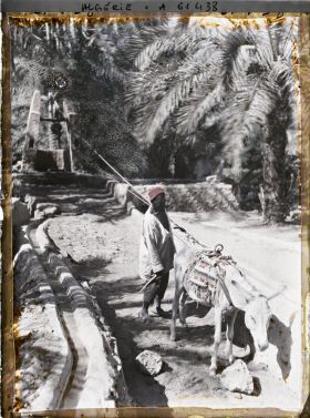 Image représentant Puisage de l'eau dans une oasis