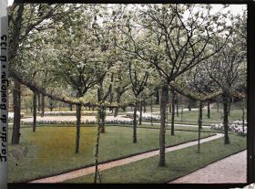 Image représentant Partie ouest du verger-roseraie ornée de parterres fleuris et d'une guirlande de rosiers