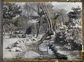 Image représentant Dobutsuen-mae (jardin zoologique): massif de chrysanthèmes le long d'un ruisseau