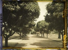 Image représentant L'avenue du Gouvernement (?)