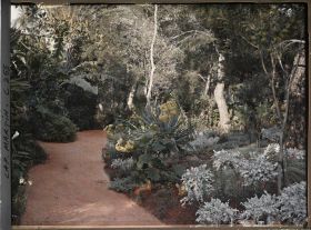 Image représentant Cap-Martin - Le Jardin